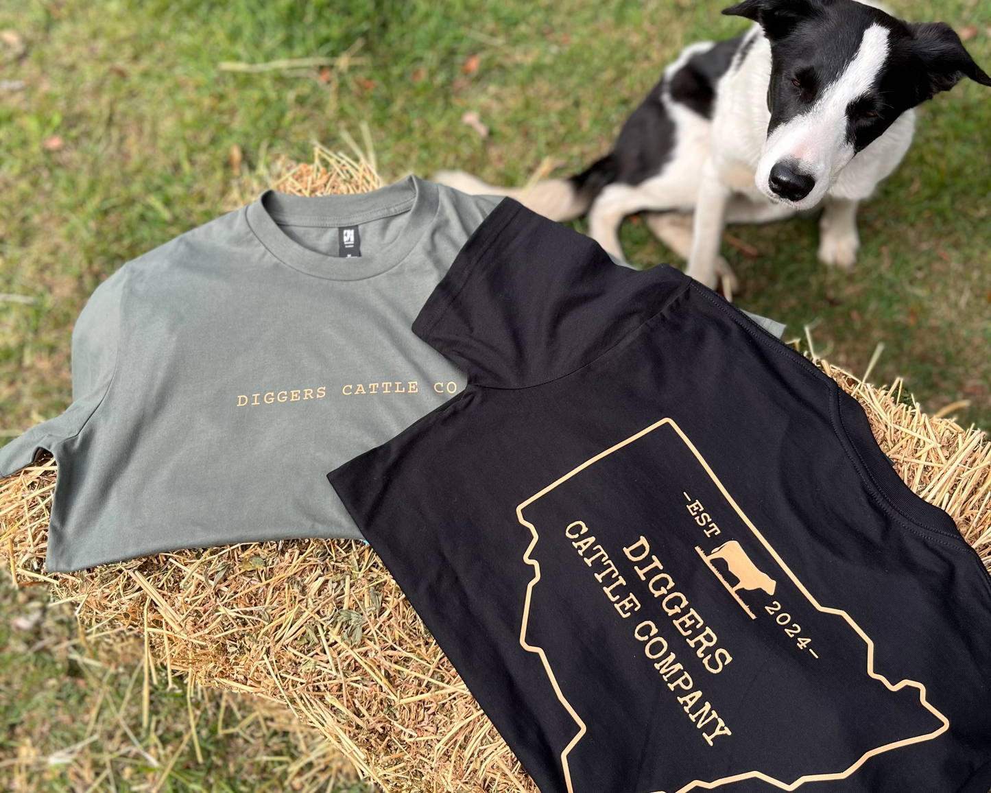 Diggers PT Shirt